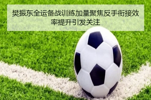 樊振东全运备战训练加量聚焦反手衔接效率提升引发关注