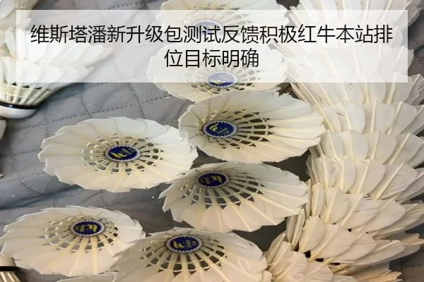 维斯塔潘新升级包测试反馈积极红牛本站排位目标明确
