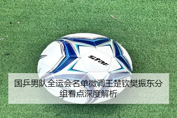 国乒男队全运会名单微调王楚钦樊振东分组看点深度解析
